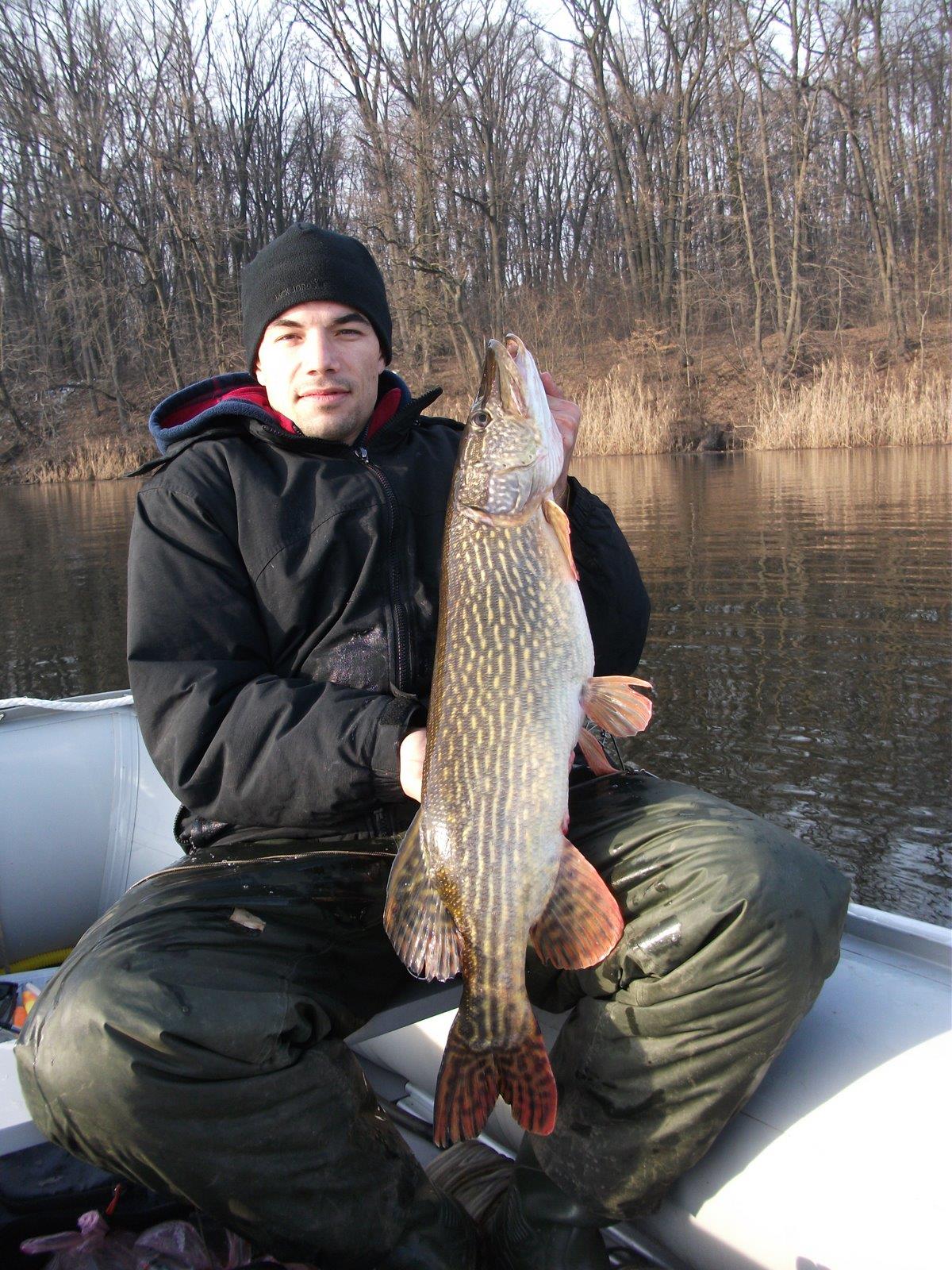 capturi - dscf2236.jpg